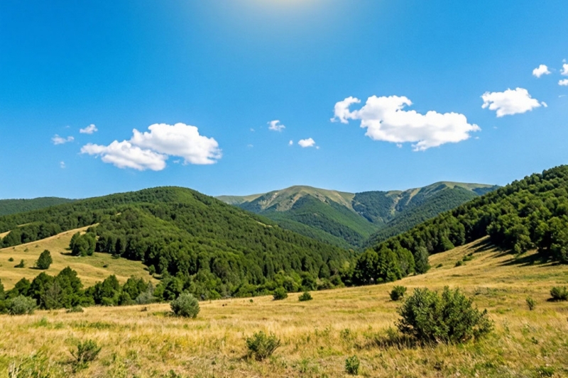 Абакан