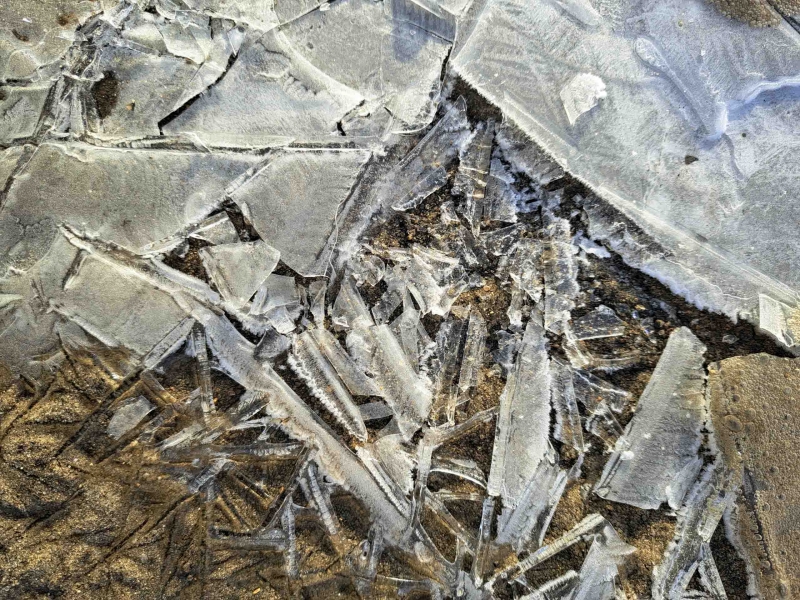Заморозки