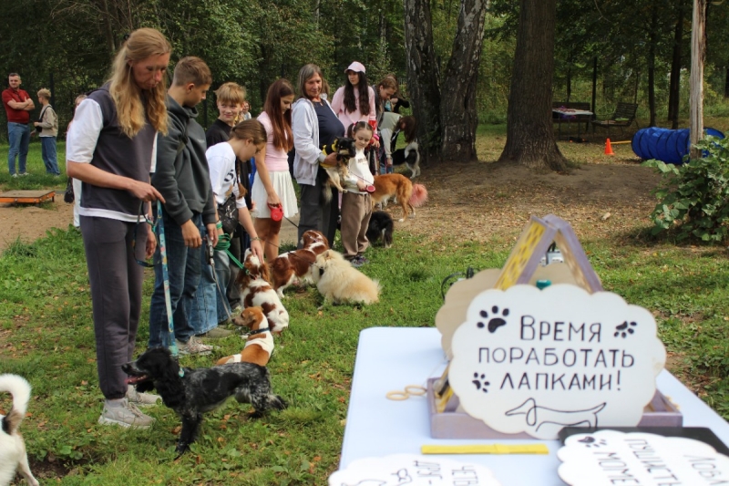 Фестиваль домашних животных