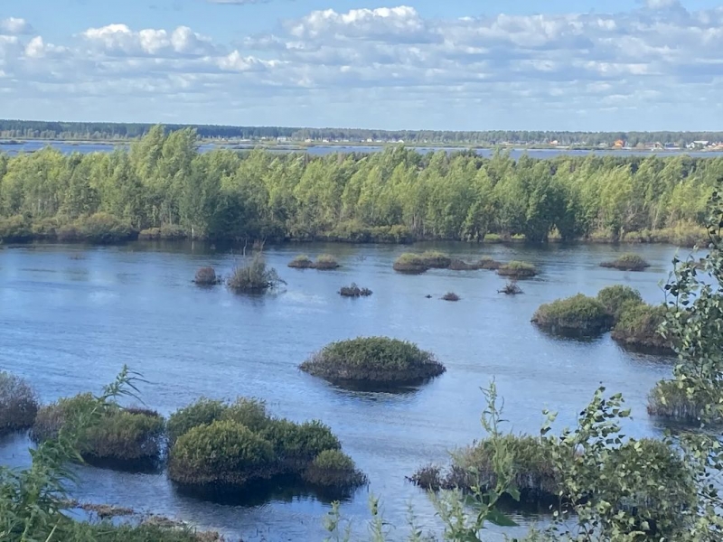 Тюменская область только вступает в период дождливых летних сезонов