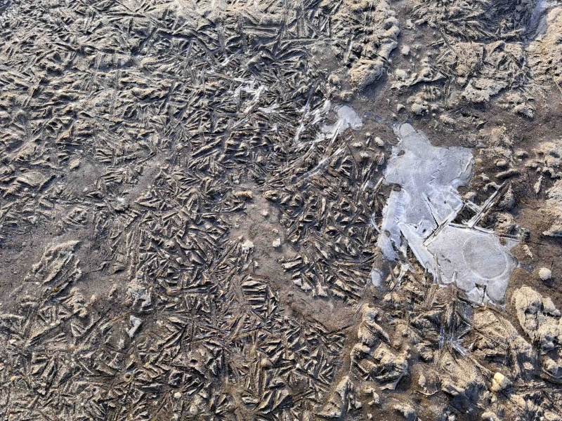 Заморозки
