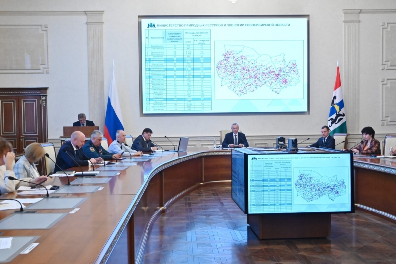 Правительство