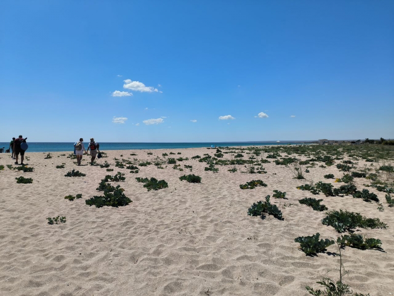 Крым