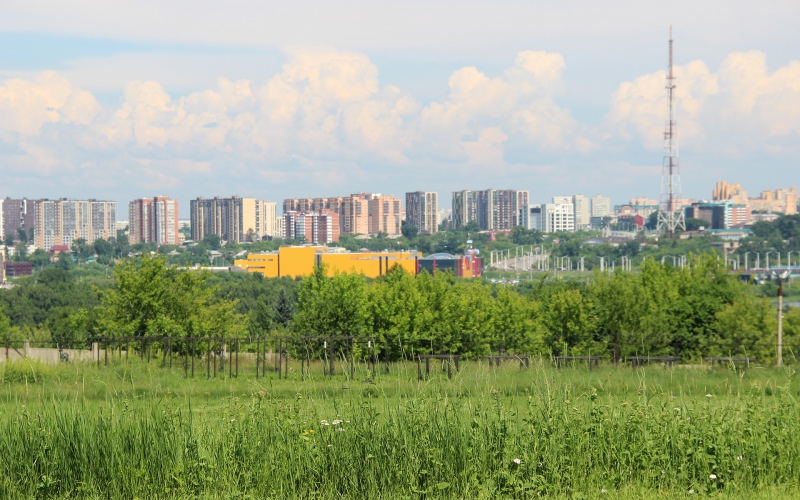 погода