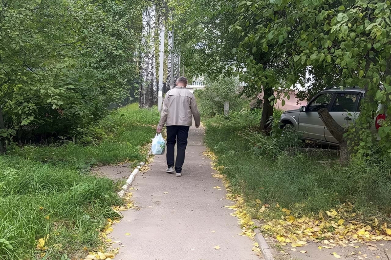 погода