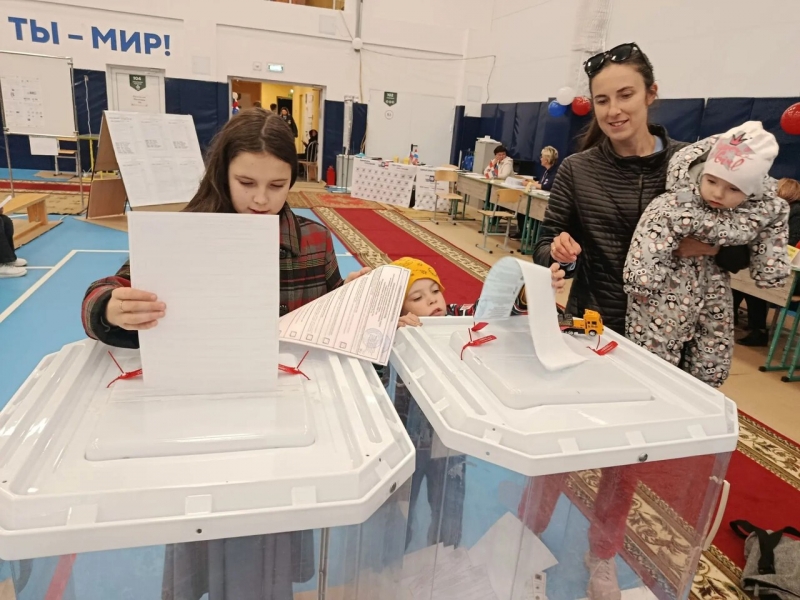 Выборы в Пермском крае
