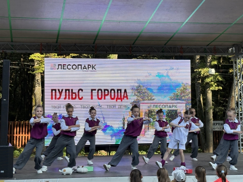 Пульс города в Рязани