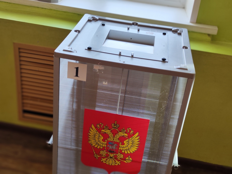 выборы
