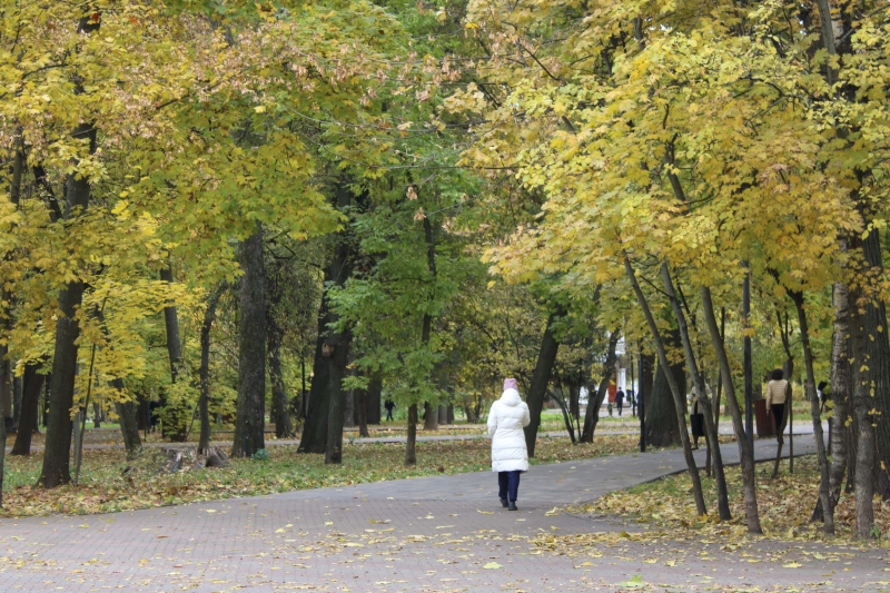 Парк