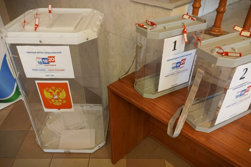 Выборы урна для голосования
