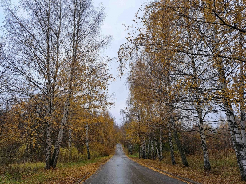 Осень