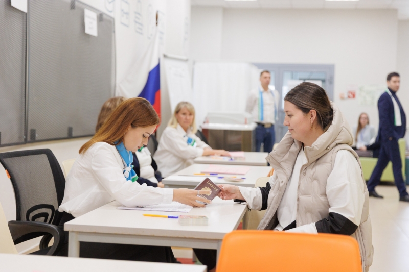 выборы