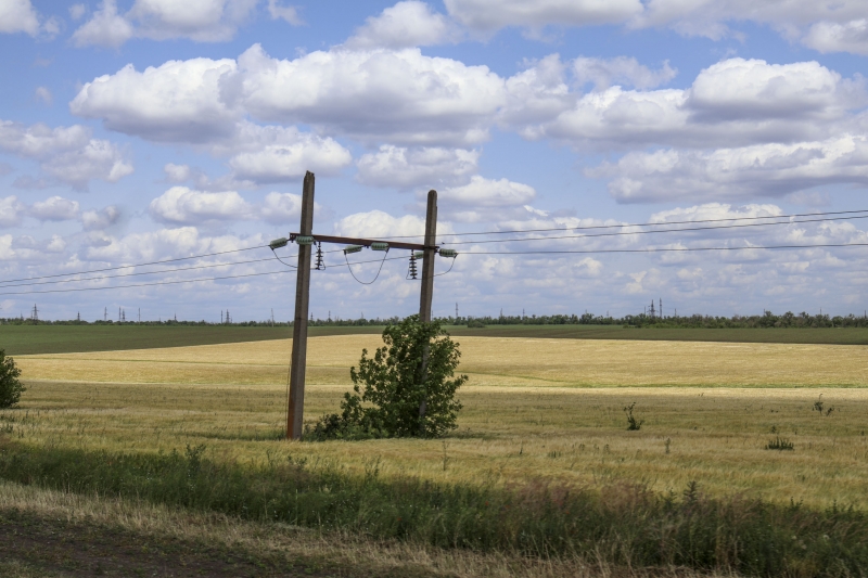 поле