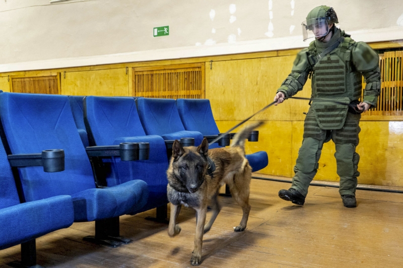 Кинолог