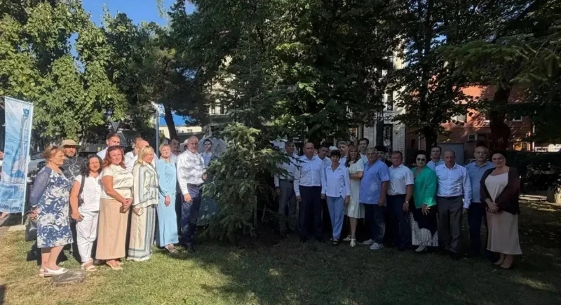Как происходит озеленение Геленджика
