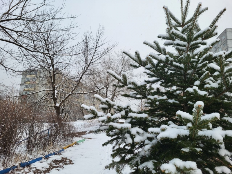 Снег