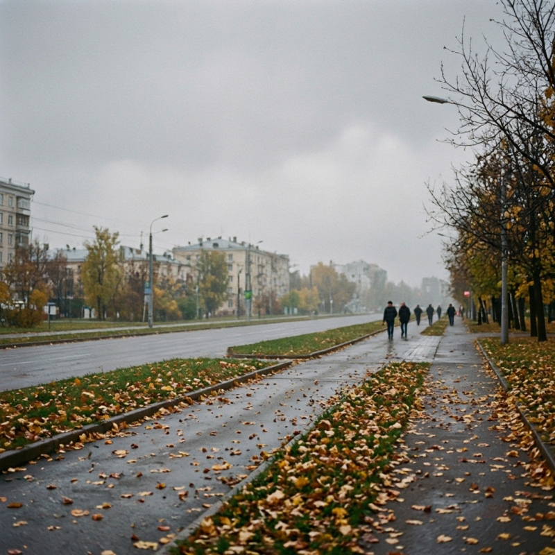 Погода