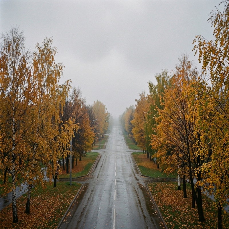 погода