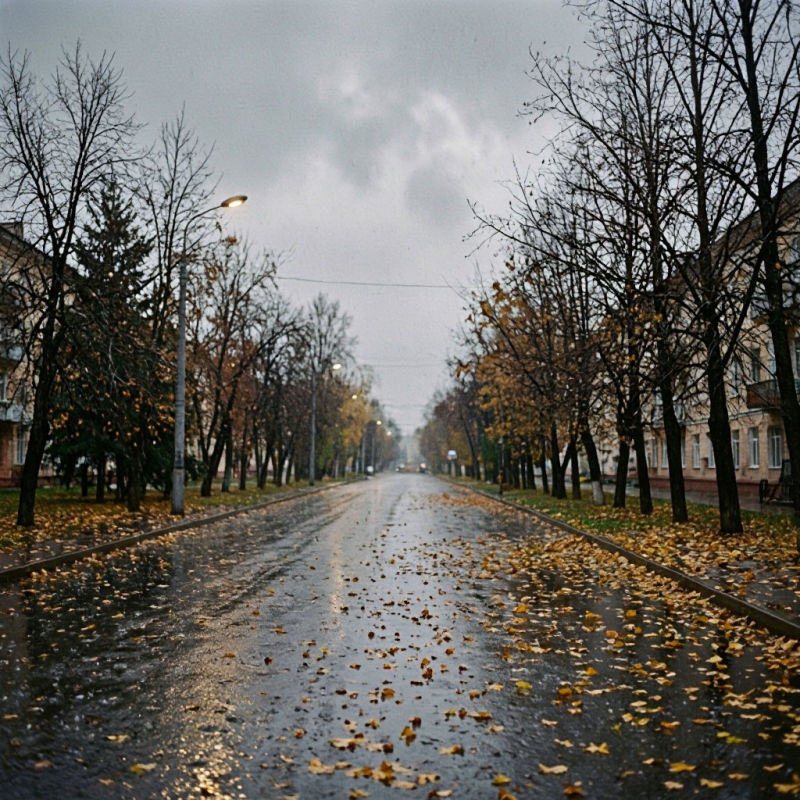 погода