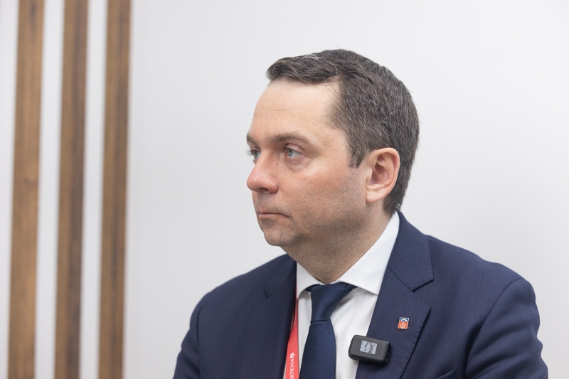 чибис