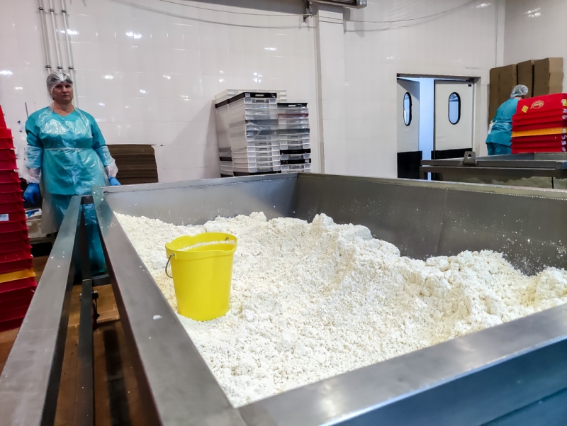 Производство молочной продукции