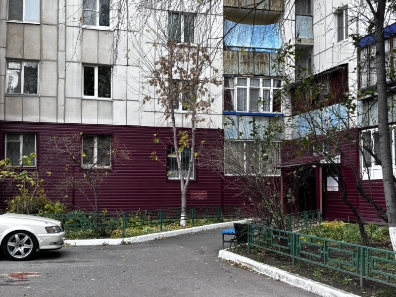Соседи с Олимпийской расследовали убийство в домовом чате
