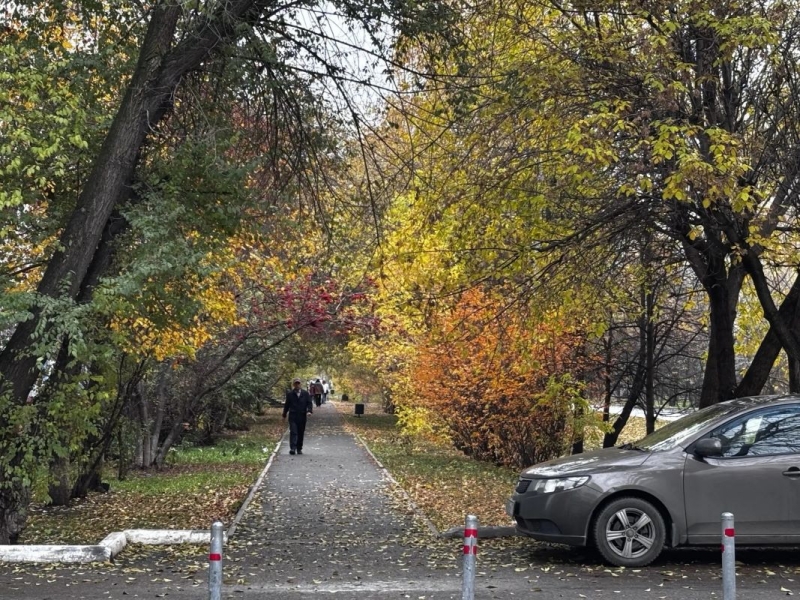 осень