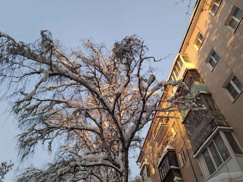 Снег