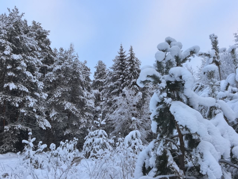 Снег