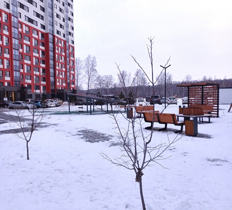 Зима