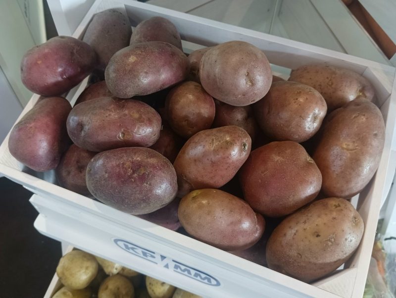 Картофель